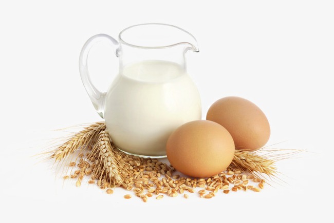 Trứng và sữa cung cấp nguồn đạm cần thiết cho trẻ bị tay chân miệng.