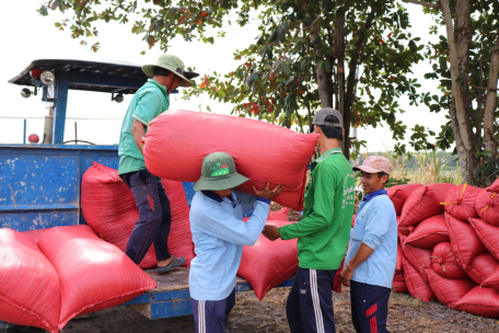 Nâng cao hiệu quả hoạt động thông qua các chính sách phát triển nông nghiệp, nông thôn