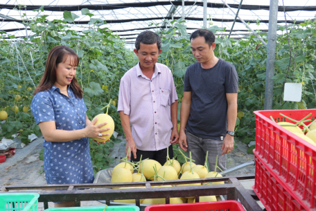 Hướng đến phát triển nông nghiệp thông minh