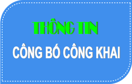 Công bố kết quả hệ thống hóa văn bản quy phạm pháp luật thuộc  lĩnh vực quản lý nhà nước do Hội đồng nhân dân, Ủy ban nhân dân  xã Tân Bình ban hành trong năm 2024