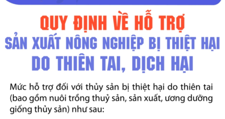 Chính sách mới hỗ trợ sản xuất nông nghiệp